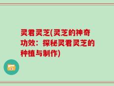 灵君灵芝(灵芝的神奇功效：探秘灵君灵芝的种植与制作)
