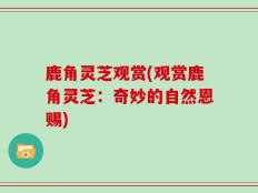 鹿角灵芝观赏(观赏鹿角灵芝：奇妙的自然恩赐)