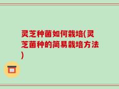 灵芝种菌如何栽培(灵芝菌种的简易栽培方法)