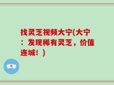 找灵芝视频大宁(大宁：发现稀有灵芝，价值连城！)