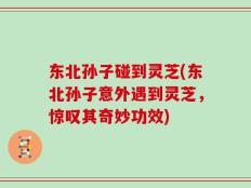 东北孙子碰到灵芝(东北孙子意外遇到灵芝，惊叹其奇妙功效)