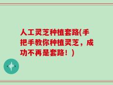 人工灵芝种植套路(手把手教你种植灵芝，成功不再是套路！)