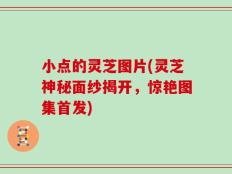 小点的灵芝图片(灵芝神秘面纱揭开，惊艳图集首发)