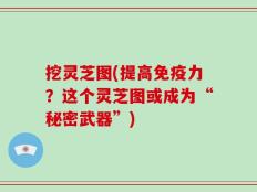 挖灵芝图(提高免疫力？这个灵芝图或成为“秘密武器”)