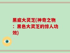 黑底大灵芝(神奇之物：黑色大灵芝的惊人功效)