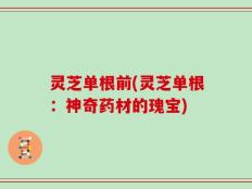 灵芝单根前(灵芝单根：神奇药材的瑰宝)
