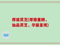 厚道灵芝(厚德重耕，仙品灵芝，华丽呈现)