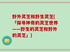 野外灵芝和野生灵芝(「探寻神奇的灵芝世界——野生的灵芝和野外的灵芝」)