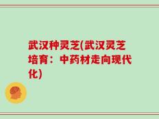 武汉种灵芝(武汉灵芝培育：中药材走向现代化)