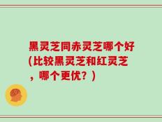 黑灵芝同赤灵芝哪个好(比较黑灵芝和红灵芝，哪个更优？)