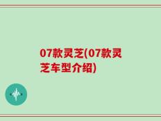 07款灵芝(07款灵芝车型介绍)