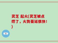 灵芝 起火(灵芝被点燃了，火势蔓延很快！)