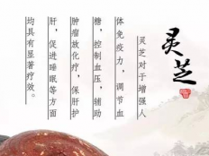 灵芝孢子粉的两大作用和功效，对身体真的很重要！