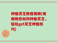 种植灵芝教程视频(视频教你如何种植灵芝，轻松get灵芝种植技巧)