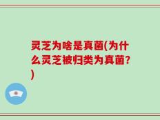 灵芝为啥是真菌(为什么灵芝被归类为真菌？)
