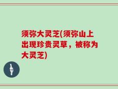 须弥大灵芝(须弥山上出现珍贵灵草，被称为大灵芝)