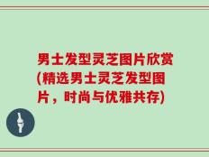 男士发型灵芝图片欣赏(精选男士灵芝发型图片，时尚与优雅共存)