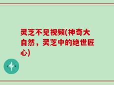 灵芝不见视频(神奇大自然，灵芝中的绝世匠心)