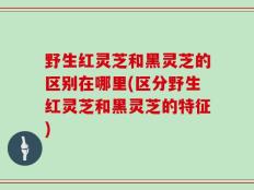 野生红灵芝和黑灵芝的区别在哪里(区分野生红灵芝和黑灵芝的特征)