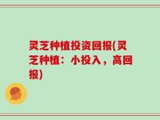 灵芝种植投资回报(灵芝种植：小投入，高回报)