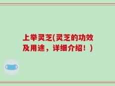 上举灵芝(灵芝的功效及用途，详细介绍！)