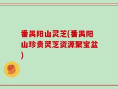 番禺阳山灵芝(番禺阳山珍贵灵芝资源聚宝盆)