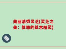 美丽清秀灵芝(灵芝之美：优雅的草木精灵)