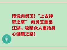 传说肉灵芝(“上古神奇之草” 肉灵芝重出江湖，吸睛众人重拾身心健康之路)