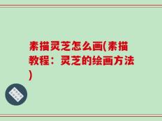 素描灵芝怎么画(素描教程：灵芝的绘画方法)