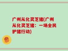 广州从化灵芝猪(广州从化灵芝猪：一场全民护猪行动)