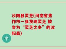 汝阳县灵芝(河南省焦作市一县发现灵芝 被誉为“灵芝之乡”的汝阳县)