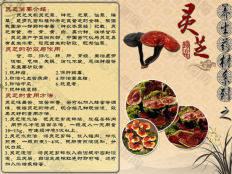 灵芝跟灵芝孢子粉有什么区别，又该怎么选择？带你马上了解。