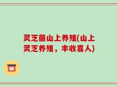 灵芝菌山上养殖(山上灵芝养殖，丰收喜人)
