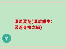 漂流灵芝(漂流重生：灵芝寻根之旅)