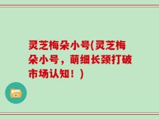 灵芝梅朵小号(灵芝梅朵小号，萌细长颈打破市场认知！)