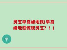 灵芝早高峰地铁(早高峰地铁惊现灵芝？！)