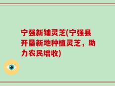 宁强新铺灵芝(宁强县开垦新地种植灵芝，助力农民增收)