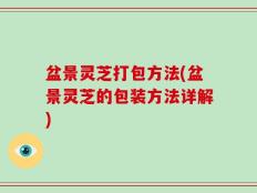 盆景灵芝打包方法(盆景灵芝的包装方法详解)