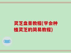 灵芝盘景教程(学会种植灵芝的简易教程)