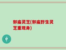 郭庙灵芝(郭庙野生灵芝重现身)