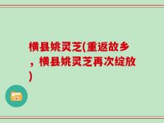 横县姚灵芝(重返故乡，横县姚灵芝再次绽放)
