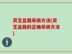 灵芝盆栽采摘方法(灵芝盆栽的正确采摘方法)