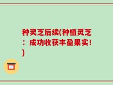 种灵芝后续(种植灵芝：成功收获丰盈果实！)