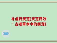 补虚药灵芝(灵芝药效：古老草本中的新宠)