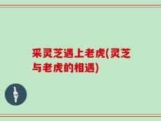 采灵芝遇上老虎(灵芝与老虎的相遇)