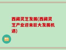 西藏灵芝发展(西藏灵芝产业迎来巨大发展机遇)