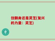 住翻身还是灵芝(复兴的力量：灵芝)