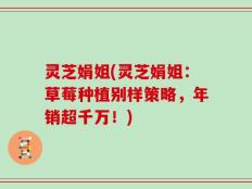 灵芝娟姐(灵芝娟姐：草莓种植别样策略，年销超千万！)