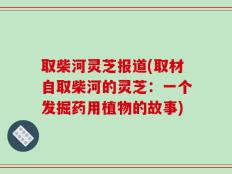 取柴河灵芝报道(取材自取柴河的灵芝：一个发掘药用植物的故事)