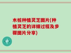 木桩种植灵芝图片(种植灵芝的详细过程及步骤图片分享)